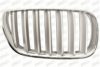 BMW 51113420090 Radiator Grille